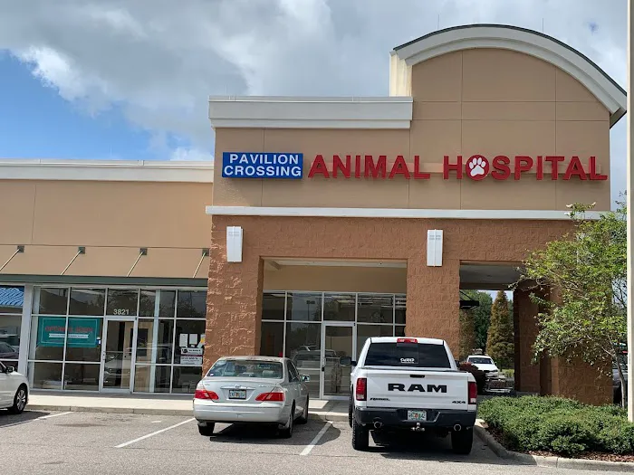 Pavilion Crossing Animal Hospital & Grooming 12