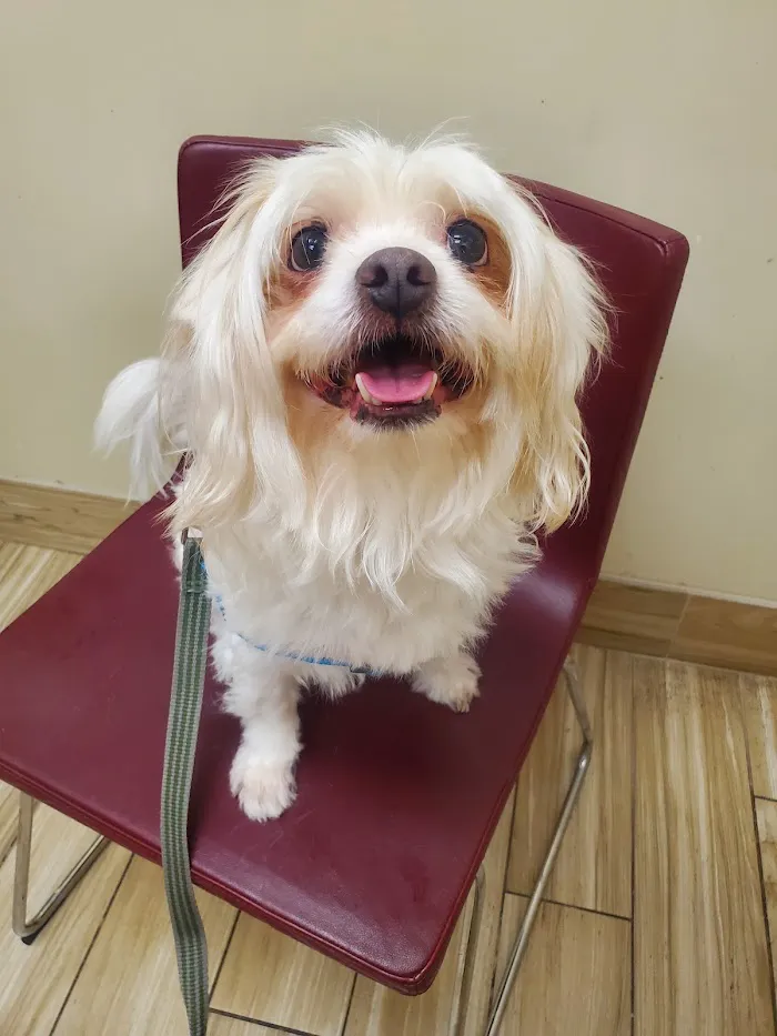 Pavilion Crossing Animal Hospital & Grooming 12
