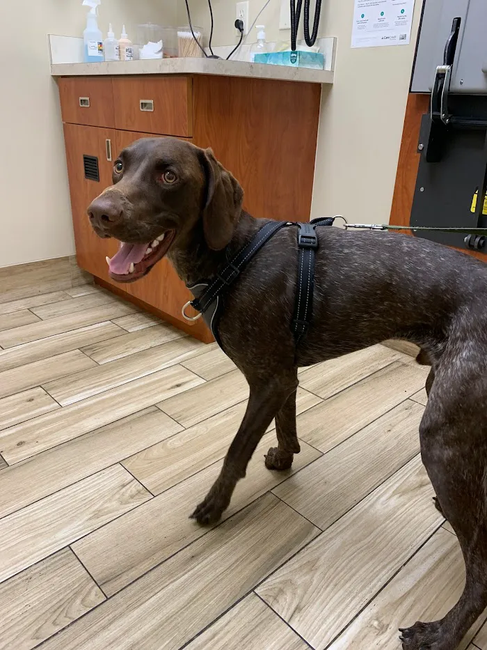 Pavilion Crossing Animal Hospital & Grooming 12