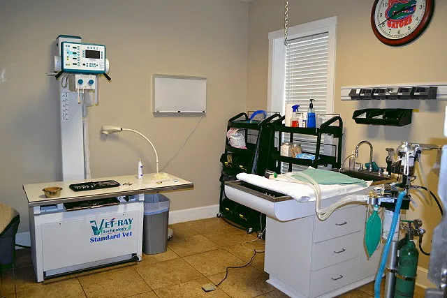 Bell Shoals Animal Hospital 12