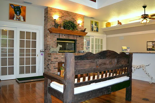 Bell Shoals Animal Hospital 12