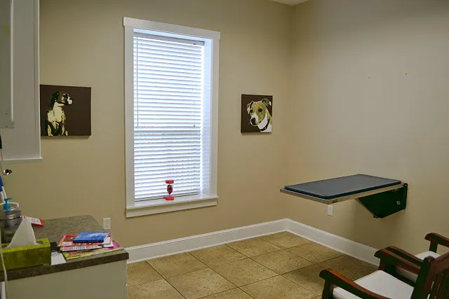 Bell Shoals Animal Hospital 12