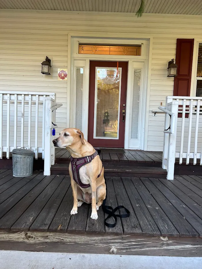 Bell Shoals Animal Hospital 12