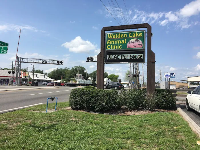 Walden Lake Animal Clinic 12