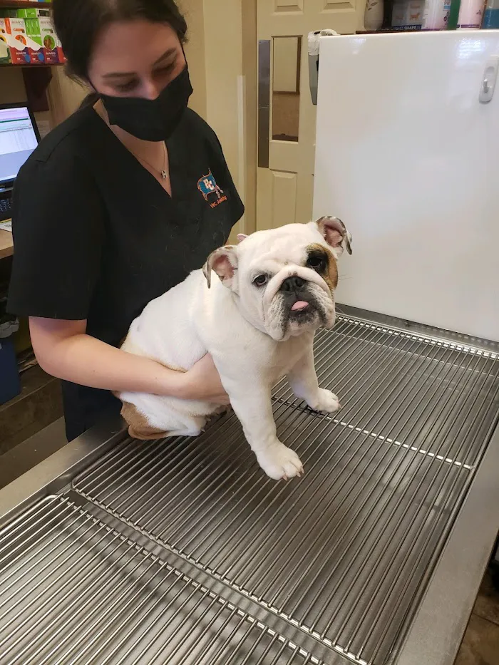 Walden Lake Animal Clinic 12