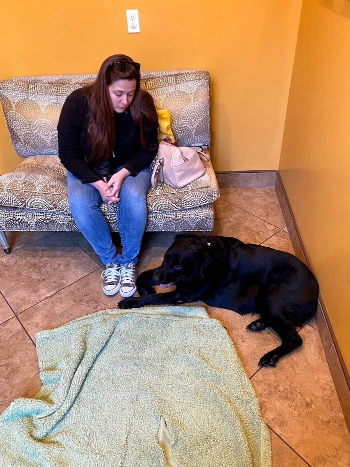 Brandon Lakes Animal Hospital 12
