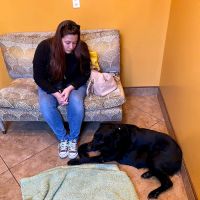 Brandon Lakes Animal Hospital ico
