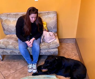 Brandon Lakes Animal Hospital