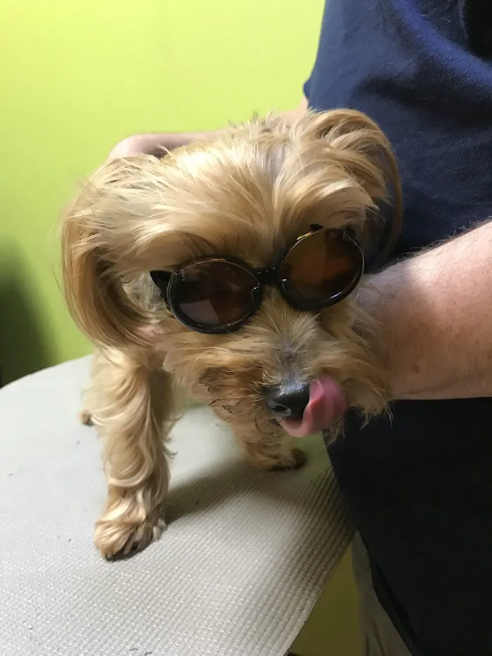 Brandon Lakes Animal Hospital 12