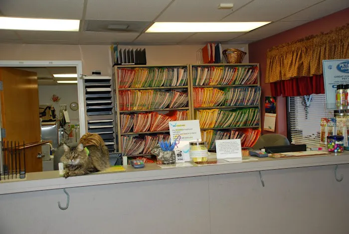 Animal Clinic of Brandon 12