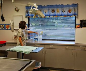 Animal Clinic of Brandon