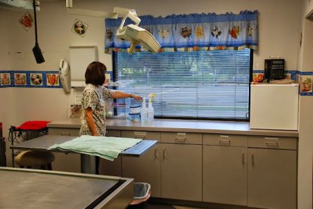 Animal Clinic of Brandon