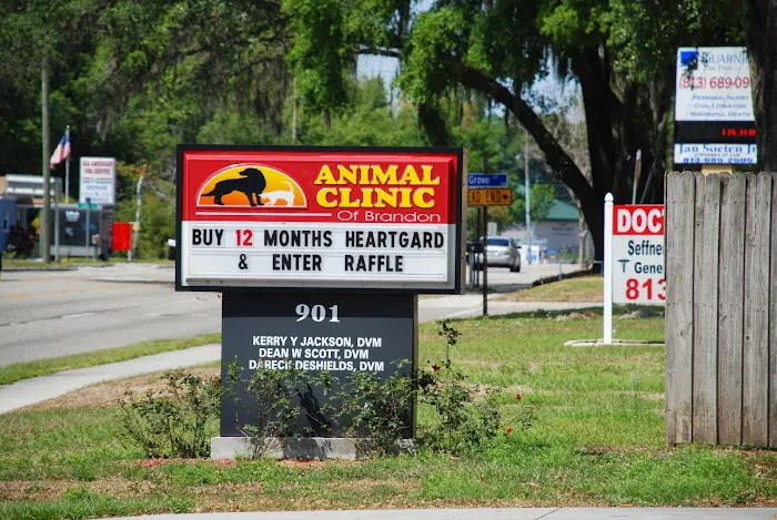 Animal Clinic of Brandon 12