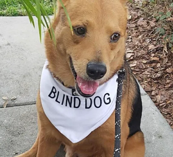 Santa Cruz Animal Clinic: Stanton, Catherine DVM 12