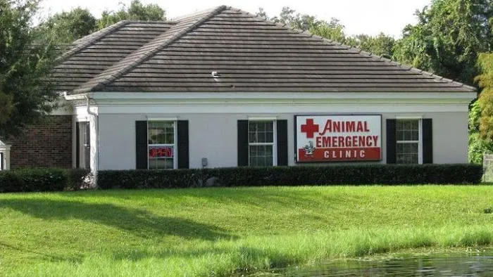 Animal Emergency Clinic of Brandon 12