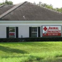 Animal Emergency Clinic of Brandon ico
