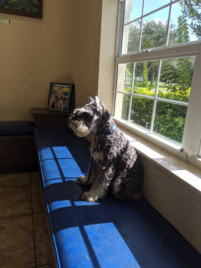 Valrico Animal Clinic 12