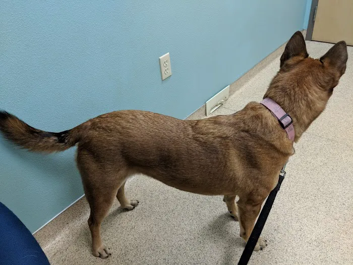 Valrico Animal Clinic 12