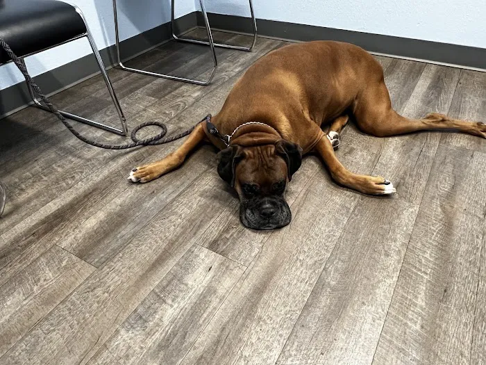 Meadowrun Affordable Pet Care 12