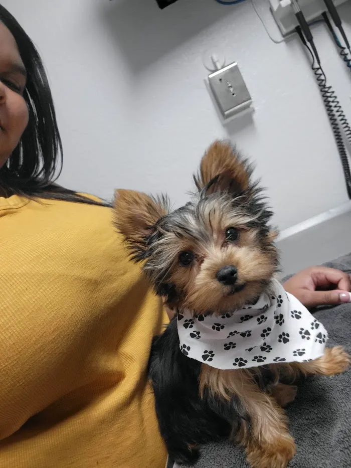 Santa Cruz Animal Clinic 12