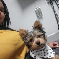 Santa Cruz Animal Clinic ico