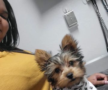 Santa Cruz Animal Clinic