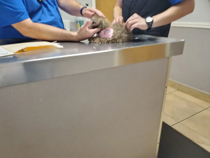 Santa Cruz Animal Clinic 12