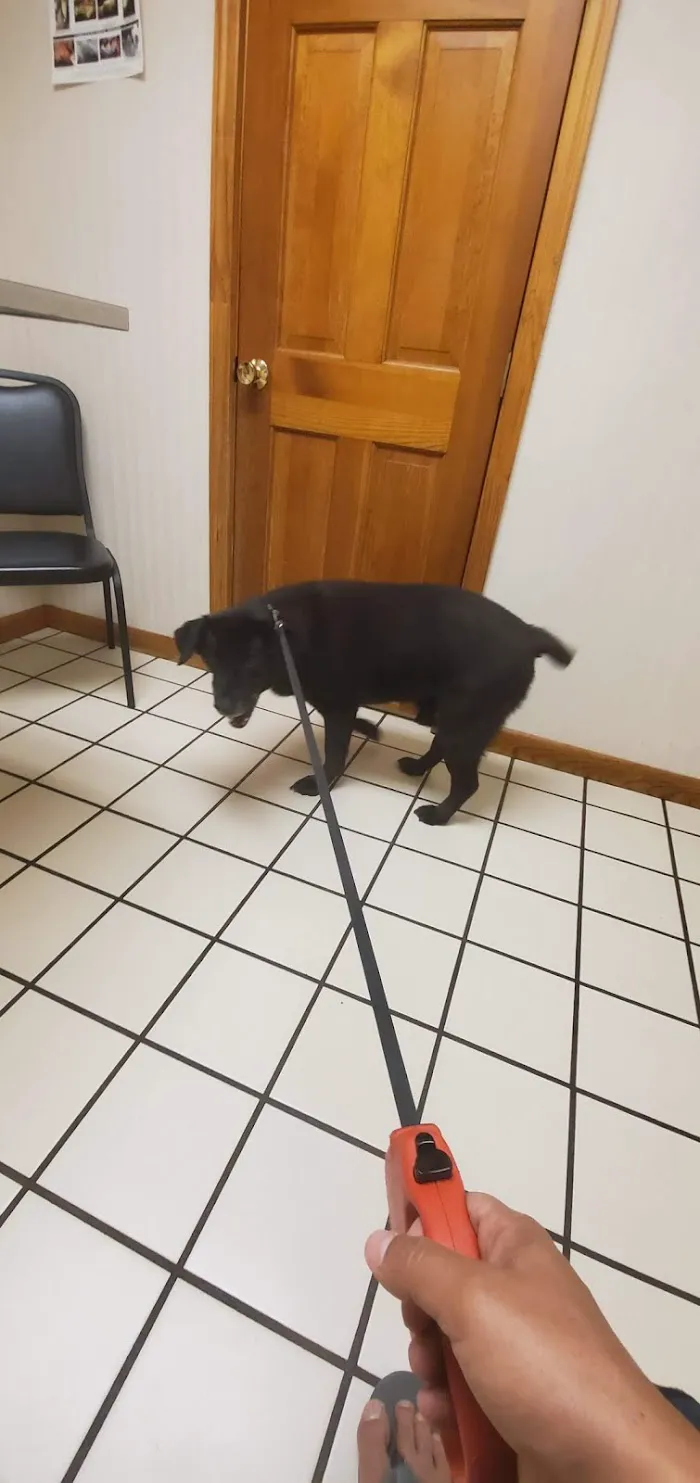 Suncoast Veterinary Clinic 10