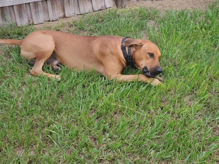 Suncoast Veterinary Clinic 7