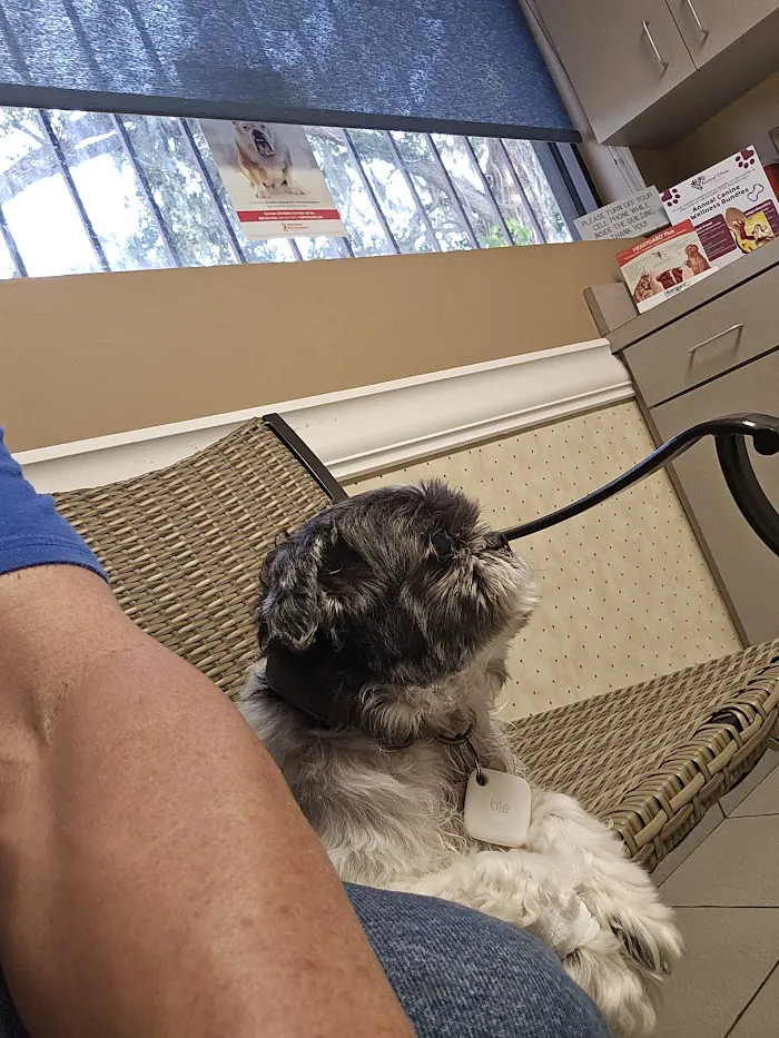 Veterinarian 12
