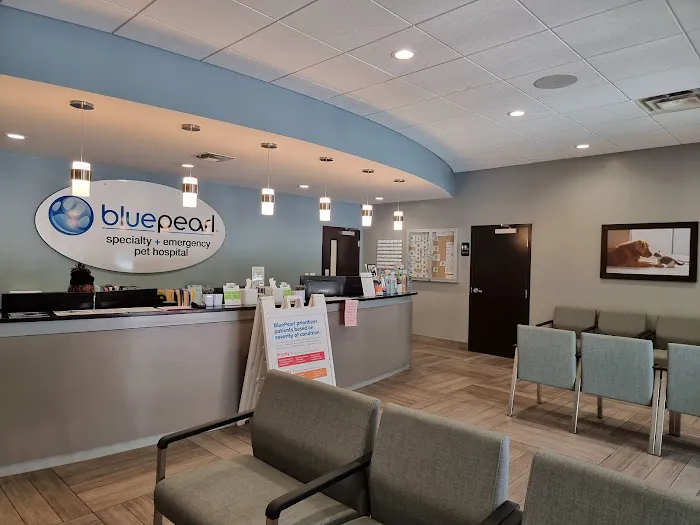 BluePearl Pet Hospital 12