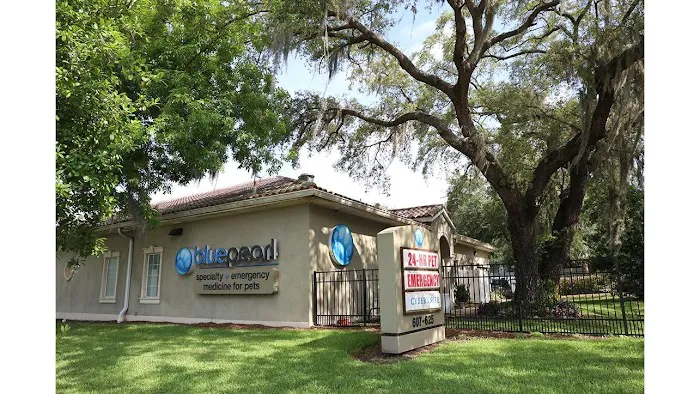 BluePearl Pet Hospital 12