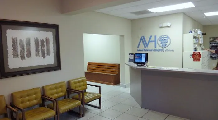 Animal Veterinary Hospital of Orlando 12