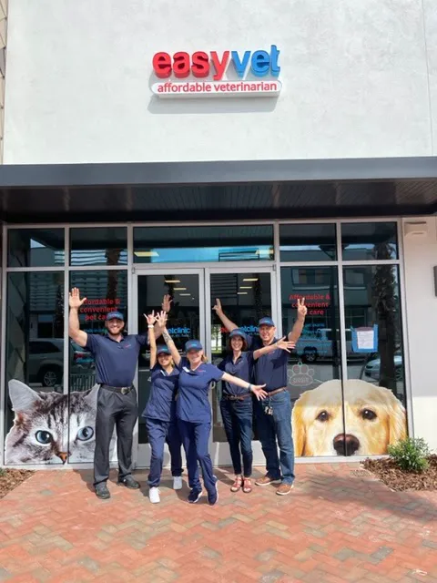 easyvet Veterinarian Winter Garden 12