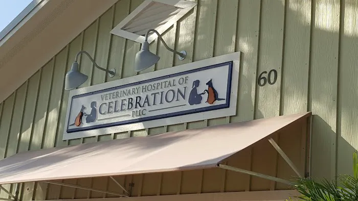 Veterinary Hospital of Celebration 12
