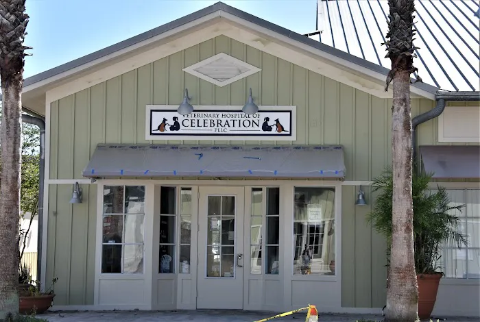 Veterinary Hospital of Celebration 12