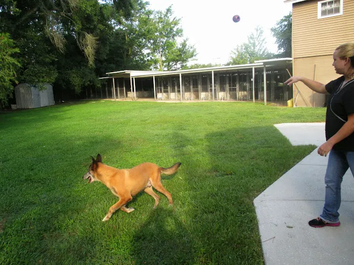 Apopka Veterinary Clinic 12