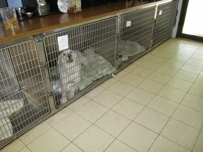 Apopka Veterinary Clinic 12