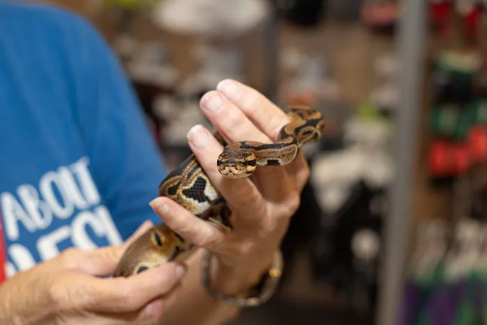 PetSmart Veterinary Services - Ocoee 12