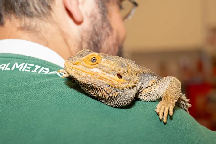 PetSmart Veterinary Services - Ocoee 12