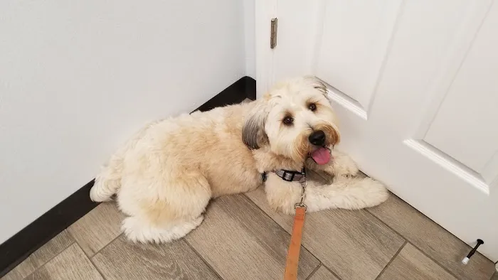 Oakes Animal Hospital 12