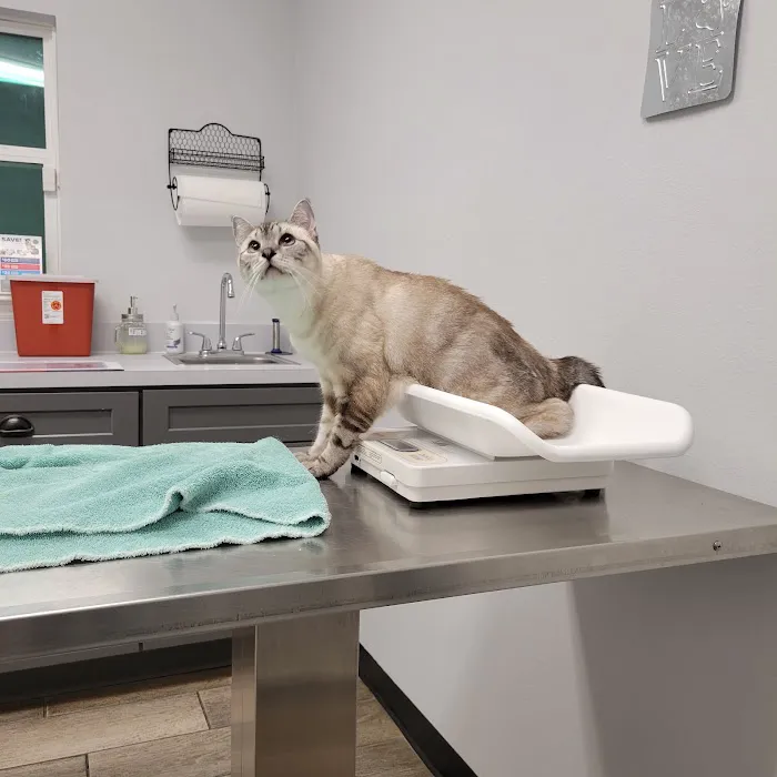 Oakes Animal Hospital 12