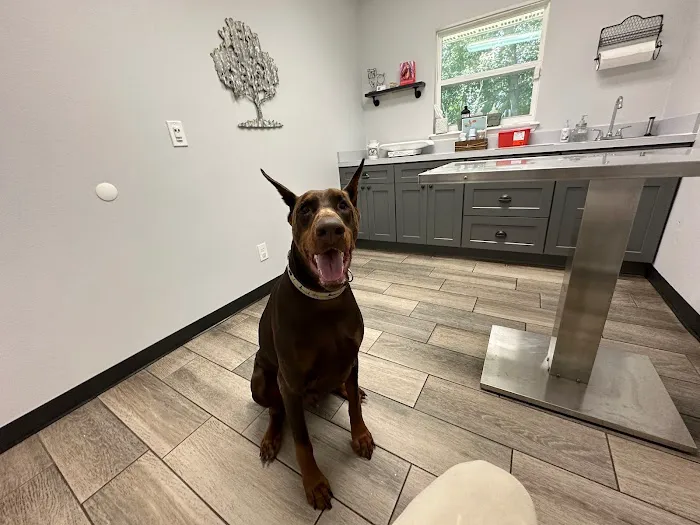 Oakes Animal Hospital 12