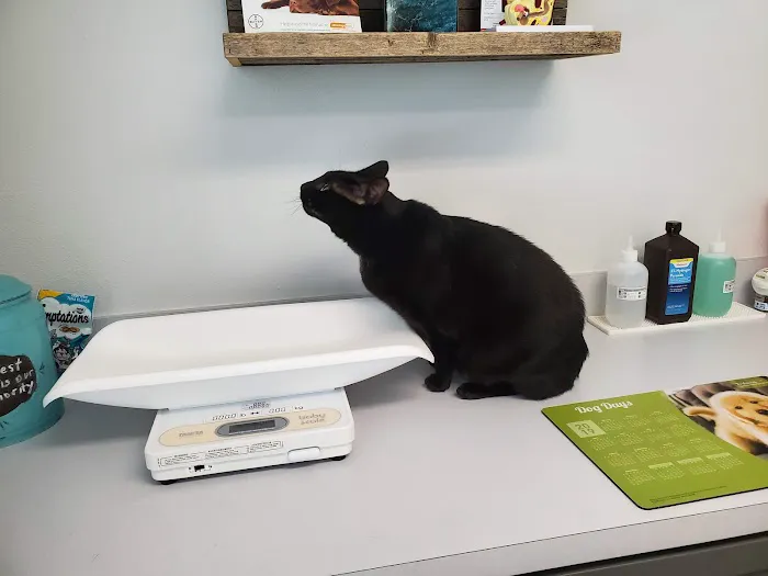 Oakes Animal Hospital 12
