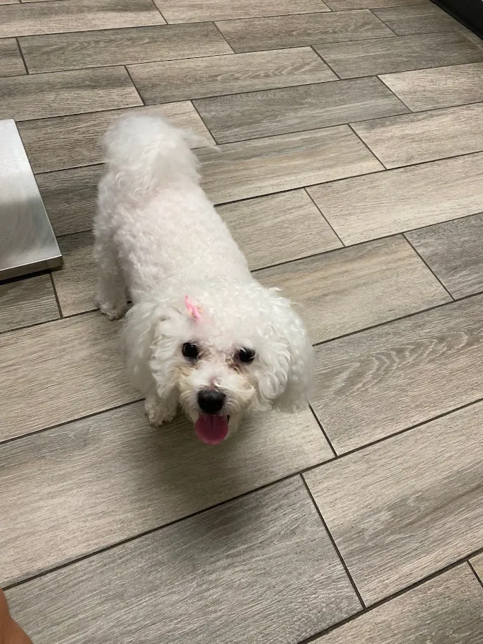 Oakes Animal Hospital 12