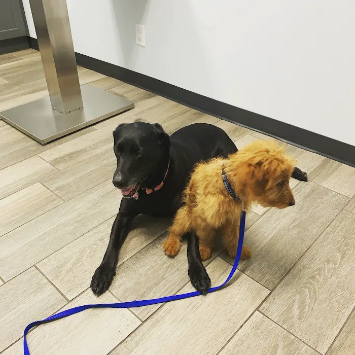 Oakes Animal Hospital 12