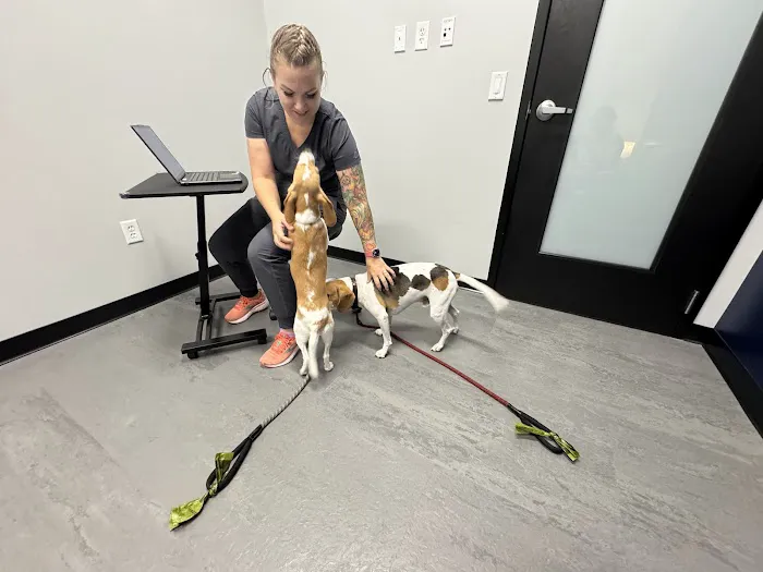 Kinetic Veterinary Specialists 12