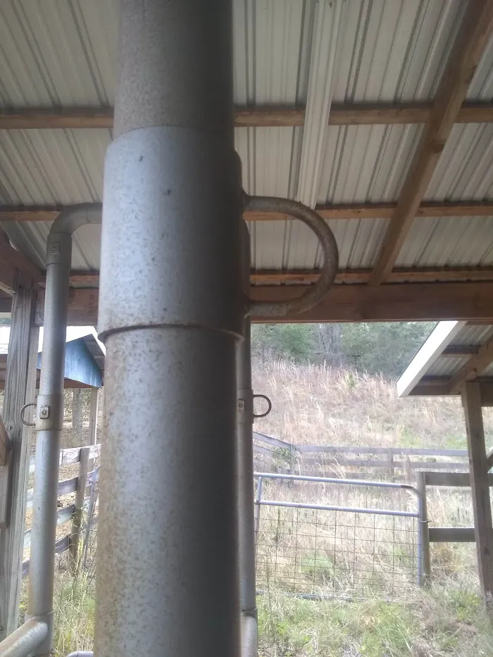 Florida Equine Veterinary Services 2