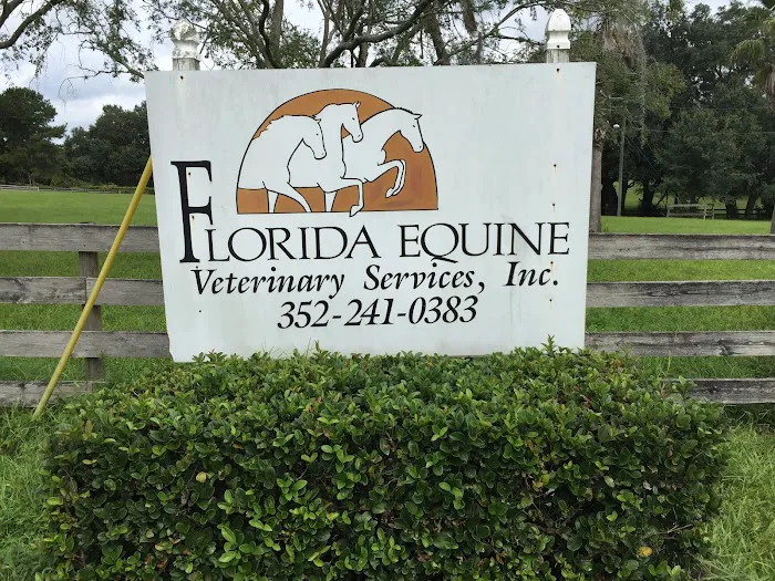 Florida Equine Veterinary Services 3