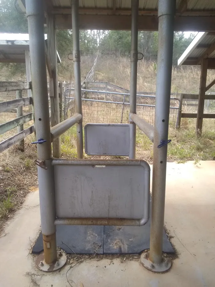 Florida Equine Veterinary Services 5